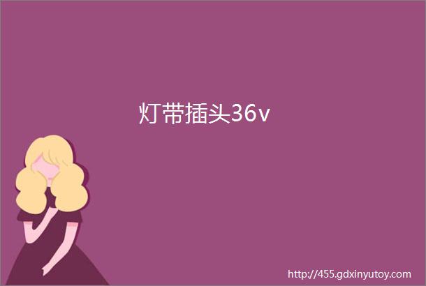 灯带插头36v